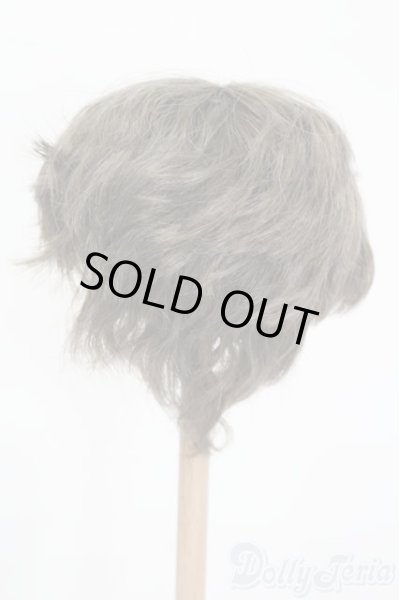 画像2: 8.5-9inch/ウィッグ S-25-12-14-306-GN-ZS (2)