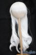 画像1: 9-10inch/ウィッグ S-25-04-13-371-GN-ZS (1)