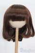 画像1: 9-10inch/ウィッグ S-25-04-13-286-GN-ZS (1)