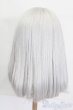 画像2: 9-10inch/ウィッグ S-25-03-23-356-GN-ZS (2)