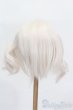 画像2: 9-10inch/ウィッグ S-25-03-23-349-GN-ZS (2)