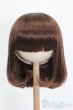 画像1: 9-10inch/ウィッグ S-25-03-23-345-GN-ZS (1)