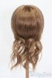 画像2: 9-10inch/ウィッグ S-25-03-23-377-GN-ZS (2)