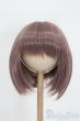 画像1: 8-9inch/ウィッグ S-25-02-23-150-GN-ZS (1)