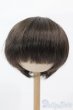 画像1: 9-10inch/ウィッグ S-25-03-23-387-GN-ZS (1)