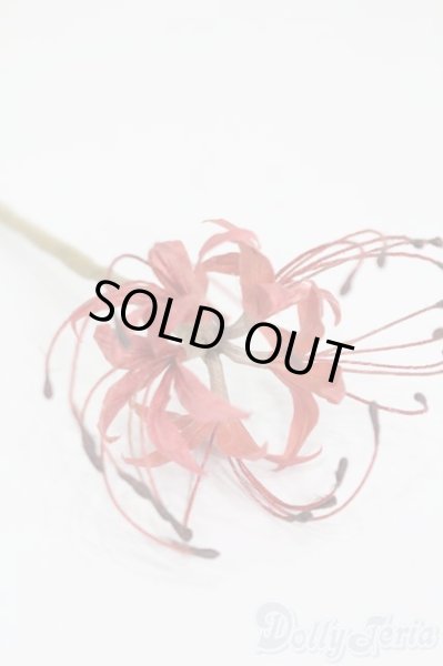 画像3: SD/小物 彼岸花:ほうせきひめ様製 S-25-06-15-241-GN-ZS (3)