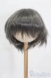 画像1: 8-9inch/ウィッグ S-25-05-11-190-GN-ZS (1)