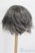 画像2: 8-9inch/ウィッグ S-25-05-11-190-GN-ZS (2)