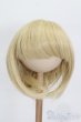 画像1: 8-9inch/ウィッグ S-25-06-29-189-GN-ZS (1)