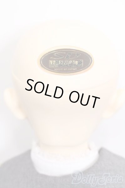 画像5: SDGr男の子/テオ 星間学寮Ver. S-25-08-17-373-GN-ZS (5)