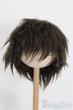 画像1: 9-10inch/ウィッグ S-25-05-04-294-GN-ZS (1)