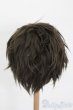 画像2: 9-10inch/ウィッグ S-25-05-04-294-GN-ZS (2)