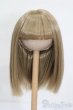 画像1: 7-8inch/ウィッグ S-25-05-11-077-GN-ZS (1)