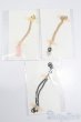 画像1: SDM＆MSD/OF:小物 S-25-04-06-300-GN-ZS (1)