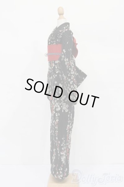 画像2: SD16/OF:Baroque様製着物 S-25-11-02-465-GN-ZS (2)