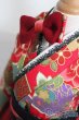 画像4: SD/OF:紅色小町 S-25-03-16-287-GN-ZS (4)