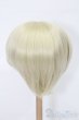 画像2: 9-10inch/ウィッグ S-25-04-06-197-GN-ZS (2)