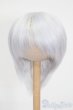 画像1: 7-8inch/ウィッグ S-25-05-04-270-GN-ZS (1)