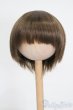 画像1: 7-8inch/ウィッグ S-25-05-04-273-GN-ZS (1)