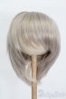 画像1: 8-9inch/ウィッグ S-25-04-13-104-GN-ZS (1)