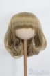 画像1: 9-10inch/ウィッグ S-25-04-13-278-GN-ZS (1)