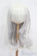 画像1: 8-9inch/ウィッグ S-25-05-11-193-GN-ZS (1)