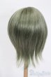 画像2: 8-9inch/ウィッグ S-25-05-04-289-GN-ZS (2)