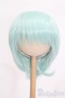 画像1: 8-9inch/ウィッグ S-25-03-16-136-GN-ZS (1)