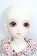 画像2: SDM女の子/コーディネートモデル白蓮 S-25-03-16-184-GN-ZS (2)