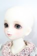 画像3: SDM女の子/コーディネートモデル白蓮 S-25-03-16-184-GN-ZS (3)