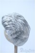 画像2: 9-10inch/ウィッグ Y-25-03-26-267-GN-ZY (2)