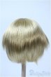 画像2: 9-10inch/ウィッグ Y-25-03-26-261-GN-ZY (2)