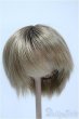 画像1: 9-10inch/ウィッグ Y-25-03-26-274-GN-ZY (1)