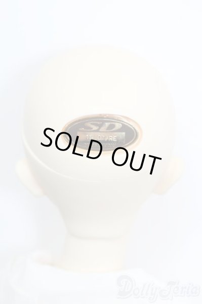 画像5: SD女の子/スタンダードモデル:ちよ S-25-08-17-368-GN-ZS (5)