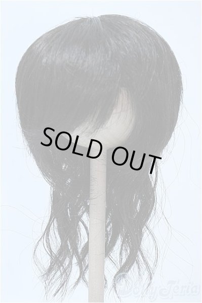 画像1: 9-10inch/ウィッグ Y-25-03-26-264-GN-ZY (1)