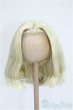 画像1: 9-10inch/ウィッグ Y-25-04-09-203-GN-ZY (1)