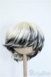 画像1: 9-10inch/ウィッグ Y-25-04-09-145-GN-ZY (1)