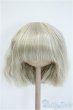 画像1: 9-10inch/ウィッグ Y-25-04-09-120-GN-ZY (1)