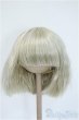 画像1: 9-10inch/ウィッグ Y-25-04-09-112-GN-ZY (1)