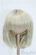 画像1: 9-10inch/ウィッグ Y-25-04-09-134-GN-ZY (1)