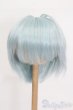 画像1: 9-10inch/ウィッグ S-25-04-27-300-GN-ZS (1)