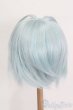 画像2: 9-10inch/ウィッグ S-25-04-27-300-GN-ZS (2)