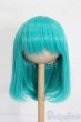 画像1: 7-8inch/ウィッグ S-25-04-27-296-GN-ZS (1)
