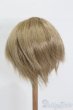 画像2: 8-9inch/ウィッグ S-25-05-04-084-GN-ZS (2)