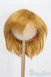 画像1: 9-10inch/ウィッグ S-25-05-04-097-GN-ZS (1)