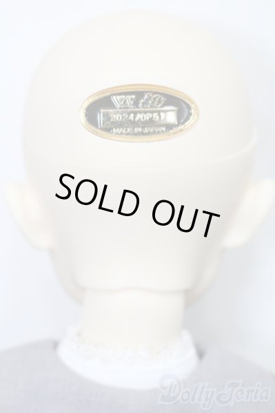 画像6: SDB/ミシェル 星間学寮Ver. S-25-11-23-653-GN-ZS (6)