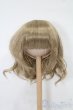 画像1: 7-8inch/ウィッグ S-25-08-03-228-GN-ZS (1)