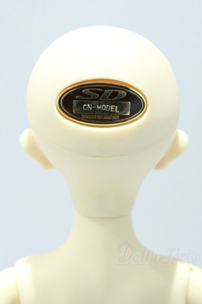 画像4: SDM男の子/コーディネートモデルF-35 S-25-09-14-002-GN-ZS (4)