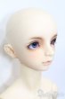 画像3: SDGr男の子/ワンオフモデル F-65 S-25-06-15-103-GN-ZS (3)