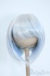 画像1: 8-9inch/ウィッグ Y-25-11-26-111-GN-ZY (1)